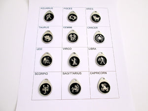 12 horoscope signs