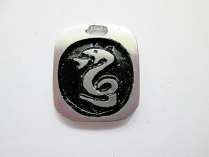 Year of the snake pendant with black background. (picture taken on a white background)