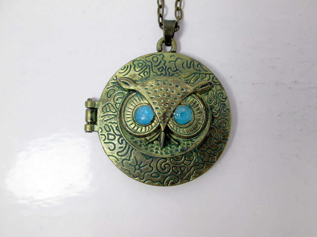 blue eyes owl locket necklace