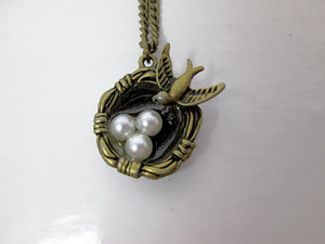 three bird eggs in nest bird necklace