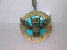 Load image into Gallery viewer, glow in the dark owl locket necklace