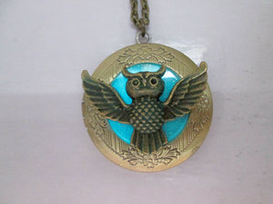 glow in the dark owl locket necklace