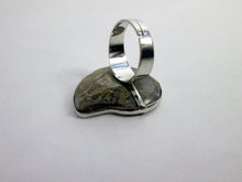 Load image into Gallery viewer, snail ring