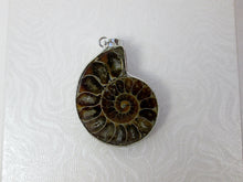 Load image into Gallery viewer, Ammonite fossil pendant