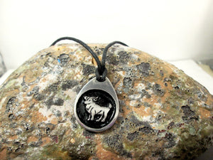 Aries horoscope necklace pendant with black background, teardrop shape, on black cord. For man or woman. (photo taken on a rock background)