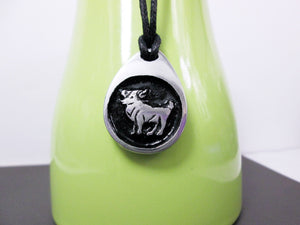Aries horoscope necklace pendant with black background, teardrop shape, on black cord. For man or woman. (photo taken on a green background)