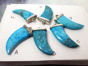 assortment of turquoise fang pendants